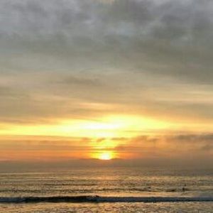 Meet your Posher, Lee ann